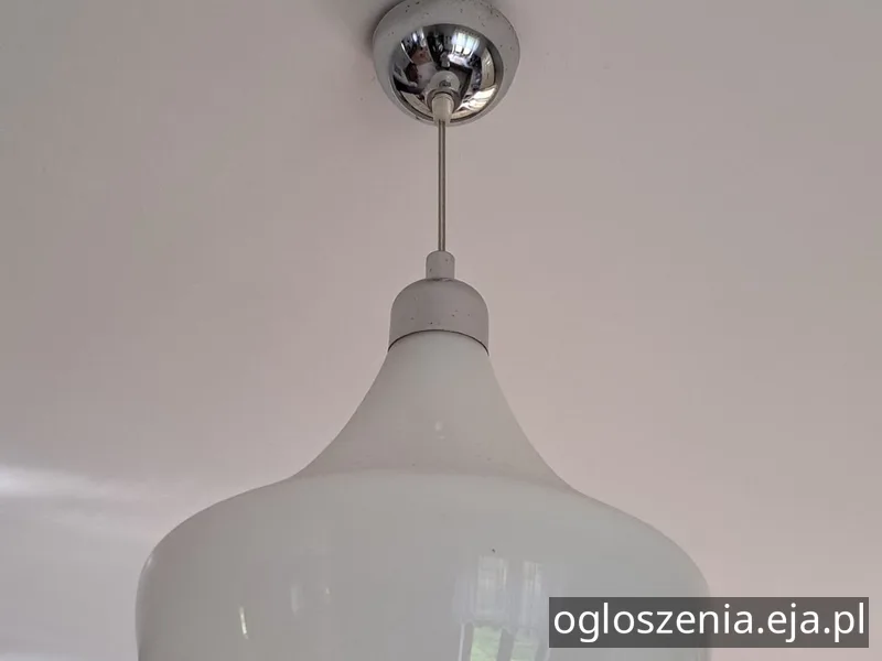 55463.jpg